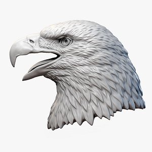 Bald Eagle Head Sculpture
