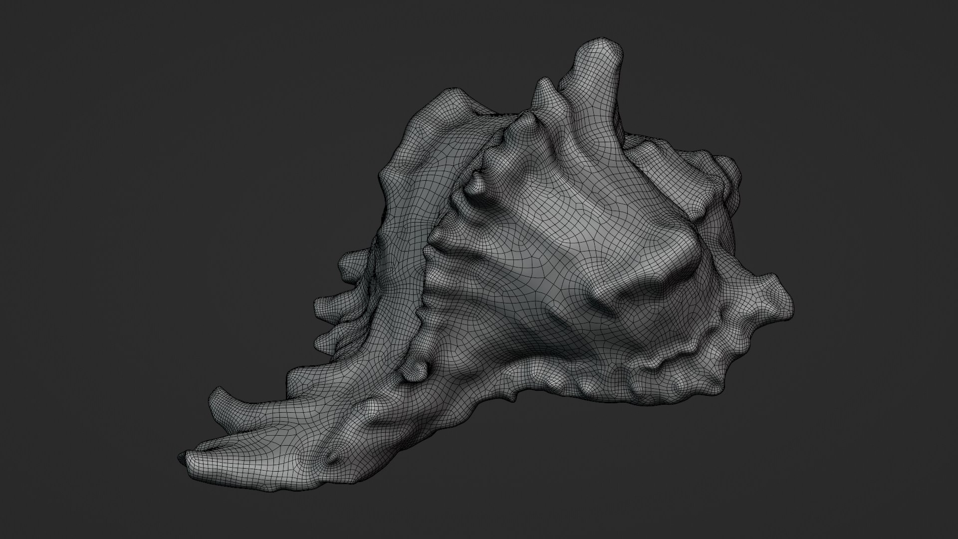 3D Murex Shell 04 https://p.turbosquid.com/ts-thumb/Xn/HTPtK7/21/murex04_d0006/png/1752325882/1920x1080/fit_q87/0feaac70af0e090d39303cd330770da497d3ab90/murex04_d0006.jpg