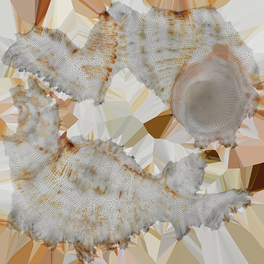 3D Murex Shell 04 https://p.turbosquid.com/ts-thumb/Xn/HTPtK7/CV/murex04_c0004/png/1752325877/1920x1080/fit_q87/c2c81f781570a3137162d15774cdcc0666275092/murex04_c0004.jpg