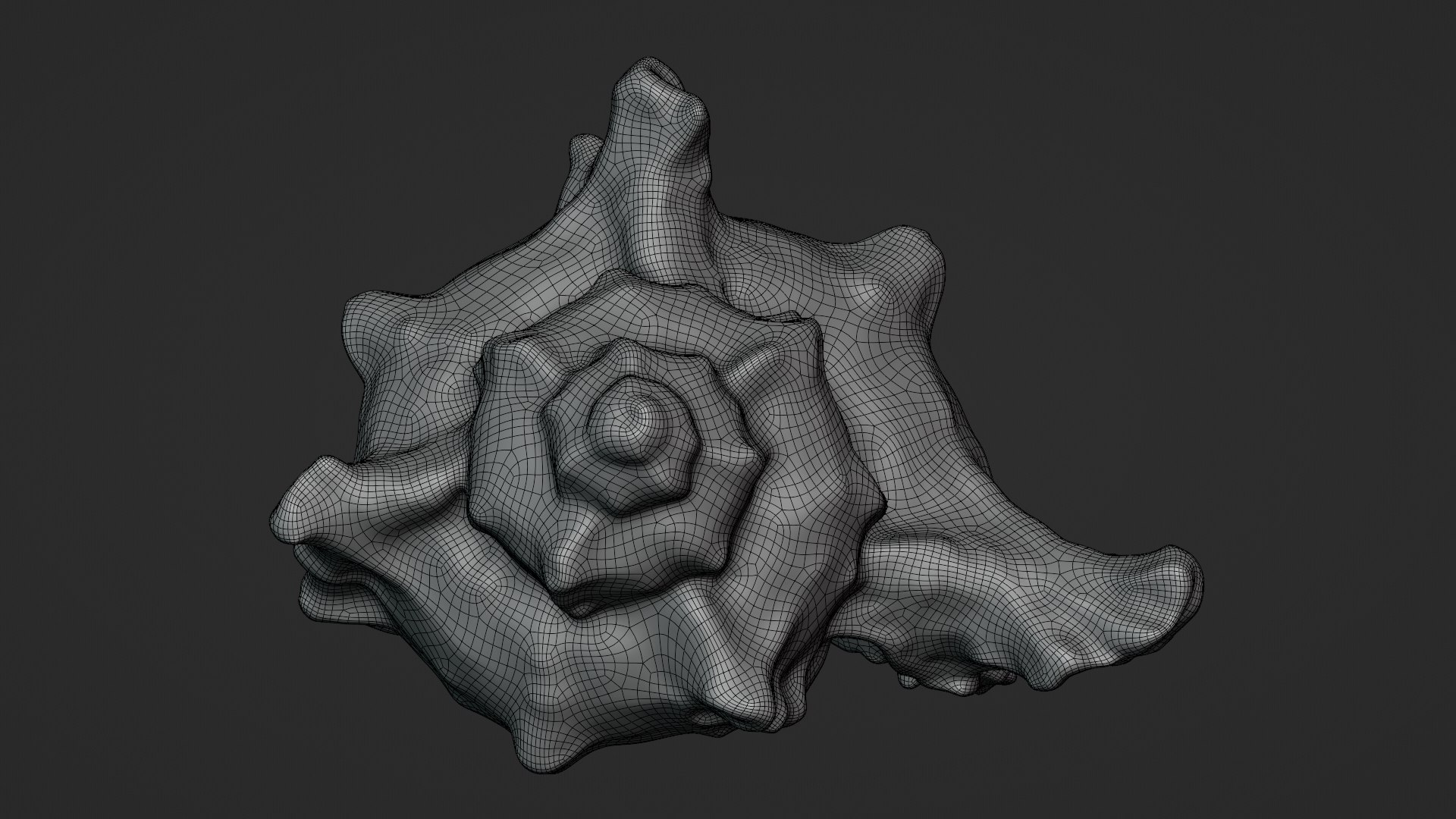 3D Murex Shell 04 https://p.turbosquid.com/ts-thumb/Xn/HTPtK7/Tc/murex04_d0004/png/1752325882/1920x1080/fit_q87/4c506b45d9a7863e1d3ef5ae90e1328216988f1c/murex04_d0004.jpg