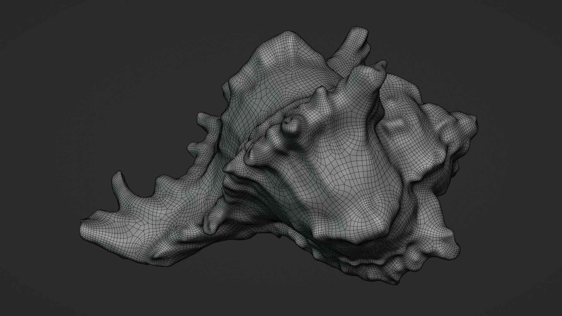 3D Murex Shell 04 https://p.turbosquid.com/ts-thumb/Xn/HTPtK7/fT/murex04_d0001/png/1752325879/1920x1080/fit_q87/1731a34c06f255d564412ec3550beb5a6f49e921/murex04_d0001.jpg
