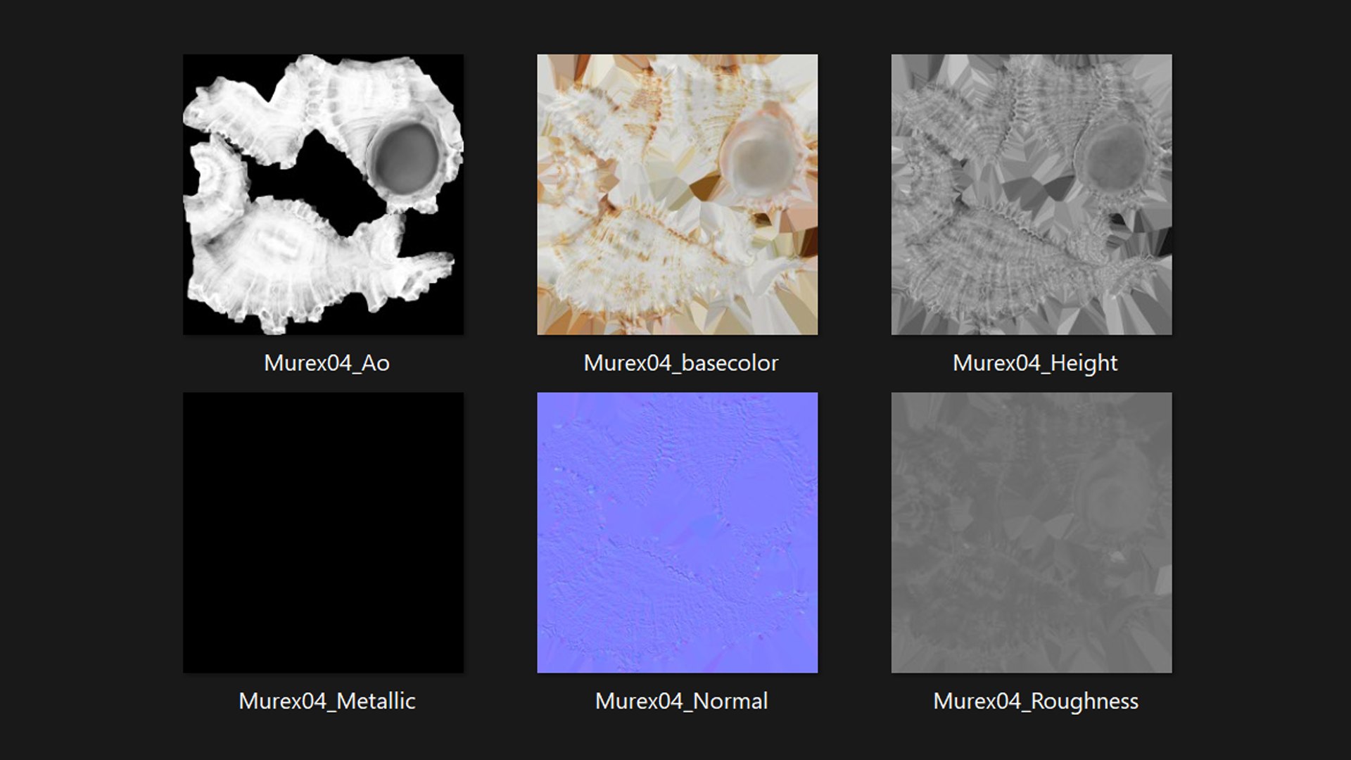 3D Murex Shell 04 https://p.turbosquid.com/ts-thumb/Xn/HTPtK7/z4/murex04_c0005/png/1752325878/1920x1080/fit_q87/e2b53c1da29b48f46fa8e0f65052aabbaebe52e4/murex04_c0005.jpg