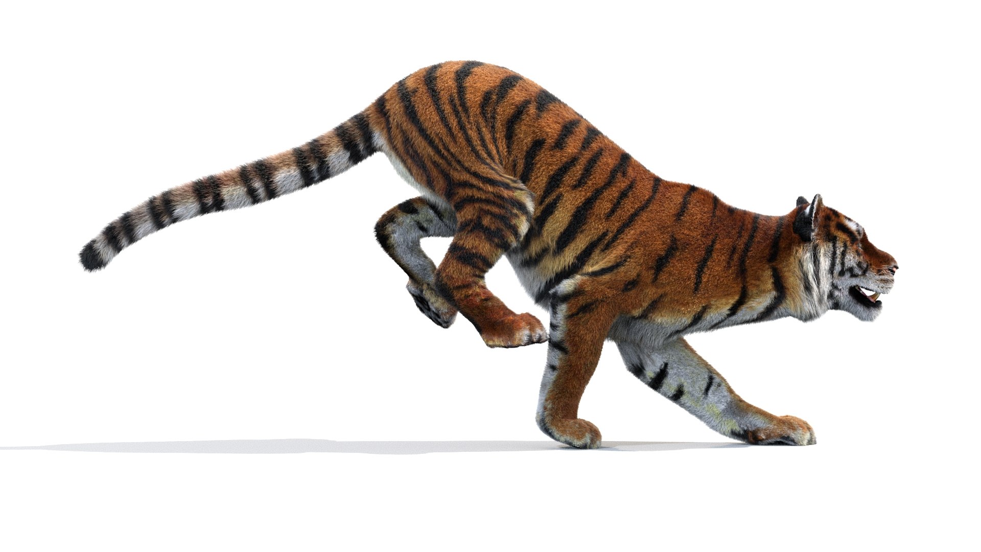 amur tiger fur cat 3d model https://p.turbosquid.com/ts-thumb/Xn/QiO8iS/O0/tiger3dmodelanimatedfur08/jpg/1659421536/1920x1080/fit_q87/e534cf75cc6b717eccc21579abb06d7fe29db8c5/tiger3dmodelanimatedfur08.jpg