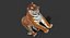 amur tiger fur cat 3d model