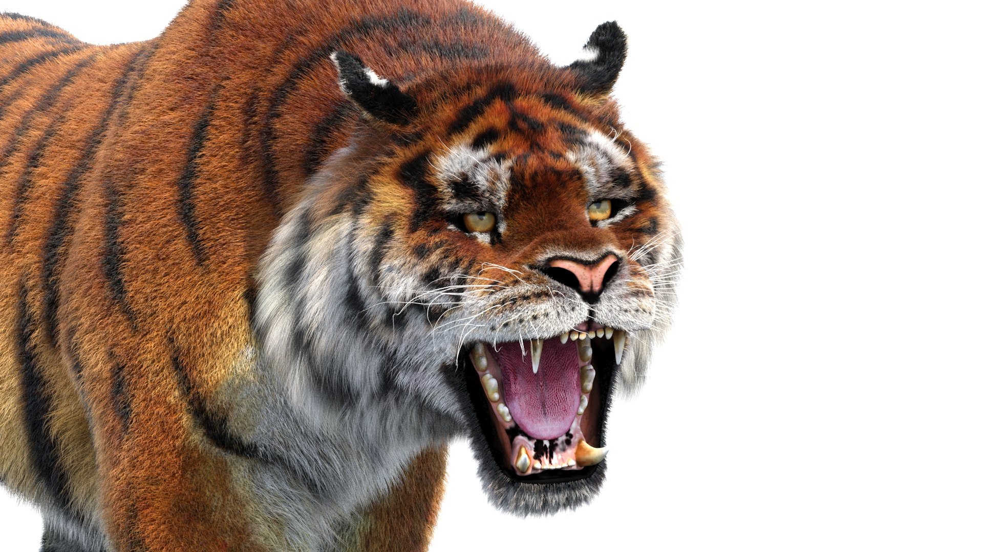amur tiger fur cat 3d model https://p.turbosquid.com/ts-thumb/Xn/QiO8iS/kR/tiger3dmodelanimatedfur14/jpg/1659471944/1920x1080/fit_q87/4175ad64442b322ad82f2f616755afa81f6c788d/tiger3dmodelanimatedfur14.jpg