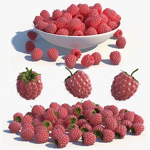 3D Raspberry
