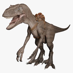 Dinosaur - Raptor PBR 8K Rigged Low-Poly model