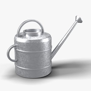 Galvanized Metal Watering Can with Rose Spout - Garden Prop