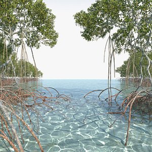 mangrove trees 3D model