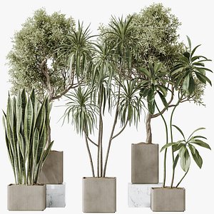 3D model AV Indoor plants set 193 Mission Arbequina Olive and Lemon Lime Cane Dragon and Ficus African Fig an