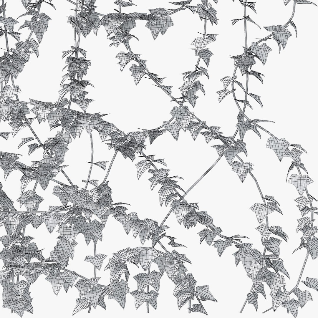 ivy wall model https://p.turbosquid.com/ts-thumb/Xo/4Zazn0/58uNYYGk/pr_06/jpg/1517845113/1920x1080/fit_q87/9125b6b167f681ba2cb978e6b21dbf4dd0a9b613/pr_06.jpg