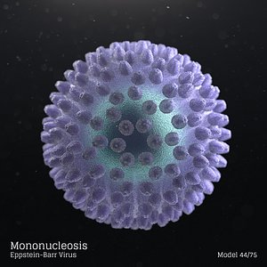microbes bacteria 3D