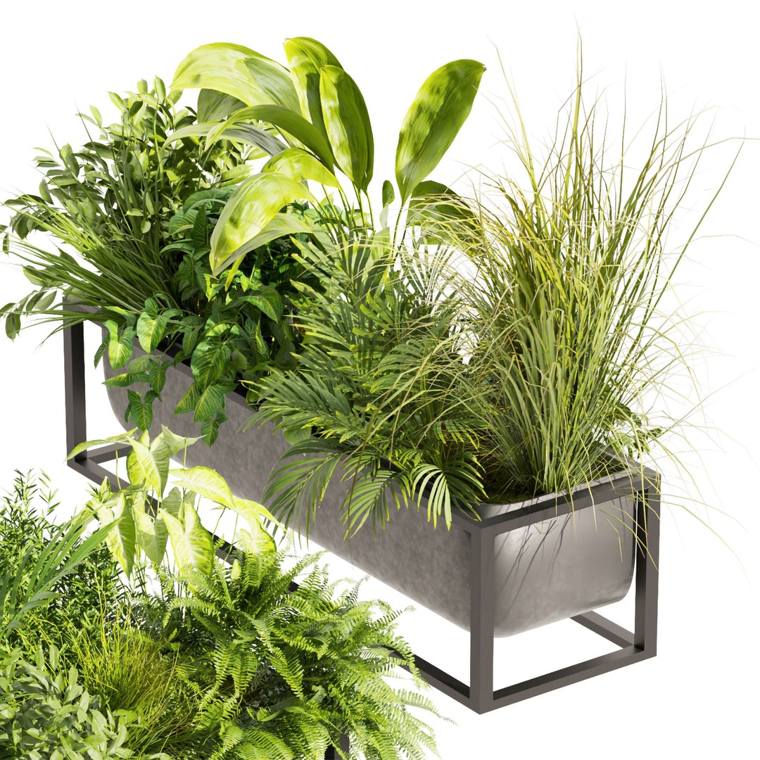 3D Model Collection Plant Vol 444 - Palm - Grass - Boxplant - 3dsmax ...