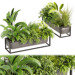 Collection plant vol 444 - palm - grass - boxplant - 3dsmax - cinema 4d