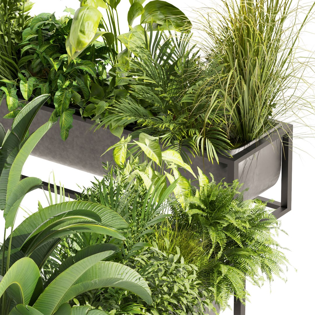 3D Model Collection Plant Vol 444 - Palm - Grass - Boxplant - 3dsmax ...