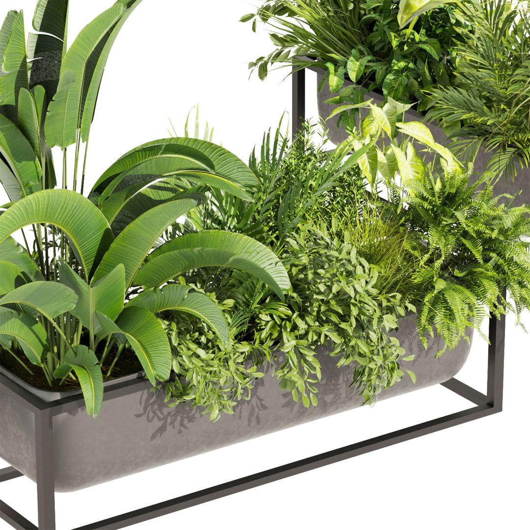 3D Model Collection Plant Vol 444 - Palm - Grass - Boxplant - 3dsmax ...