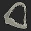 3D great white shark jaw bone