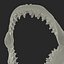 3D great white shark jaw bone