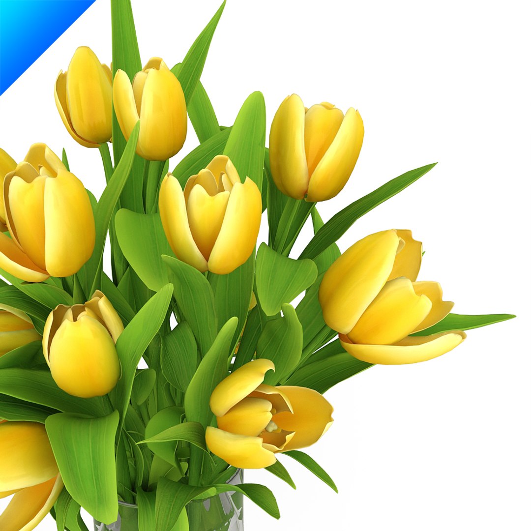 flower arrangement design 3d model https://p.turbosquid.com/ts-thumb/Xo/EGAZz0/1Q2AsOJe/yellowtulipsinvase4/jpg/1308715275/1920x1080/fit_q87/6095775a89823973cbf4feb134a66e922938c975/yellowtulipsinvase4.jpg