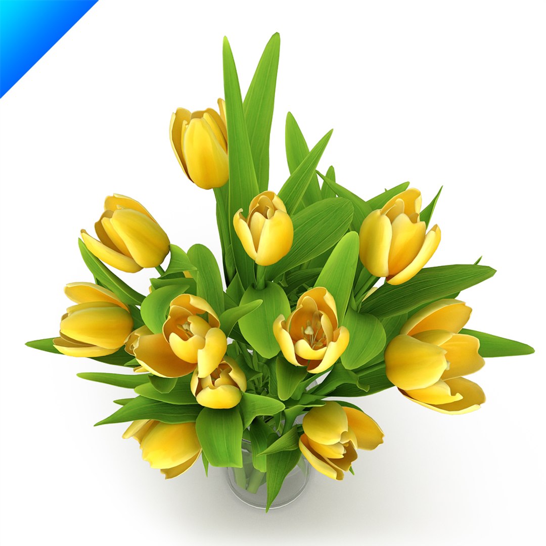 flower arrangement design 3d model https://p.turbosquid.com/ts-thumb/Xo/EGAZz0/6nr96O3Z/yellowtulipsinvase2/jpg/1308715275/1920x1080/fit_q87/d1ebc92341a6f3181c1d2dce617fd07c51cf2ad5/yellowtulipsinvase2.jpg