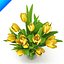 Yellow Tulips in vase