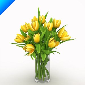 Yellow Tulips in vase