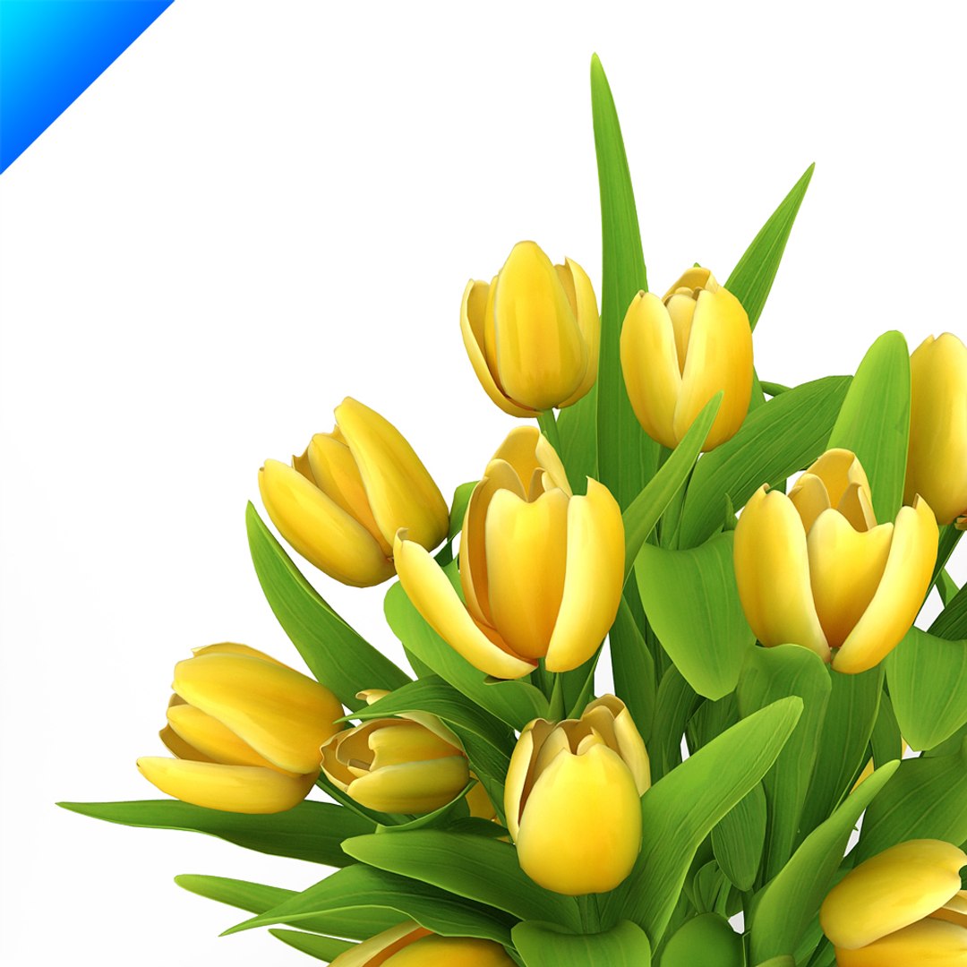 flower arrangement design 3d model https://p.turbosquid.com/ts-thumb/Xo/EGAZz0/uTV7p7ip/yellowtulipsinvase3/jpg/1308715275/1920x1080/fit_q87/68707c2f9c32dfd4dcc005a45f1b3d02ce41fd13/yellowtulipsinvase3.jpg