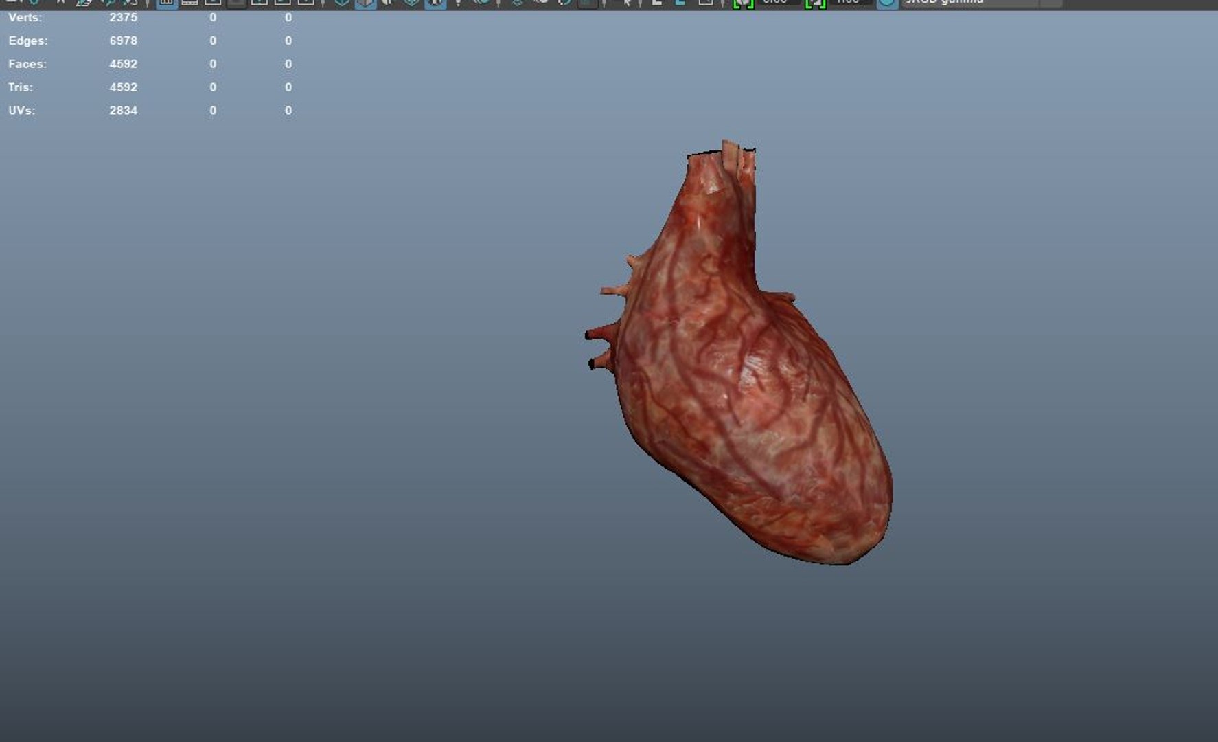 Animation Medical 3D Model - TurboSquid 1467079