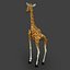 Girafe de dessin animé
