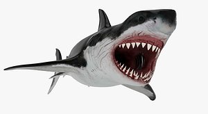 3d white shark model