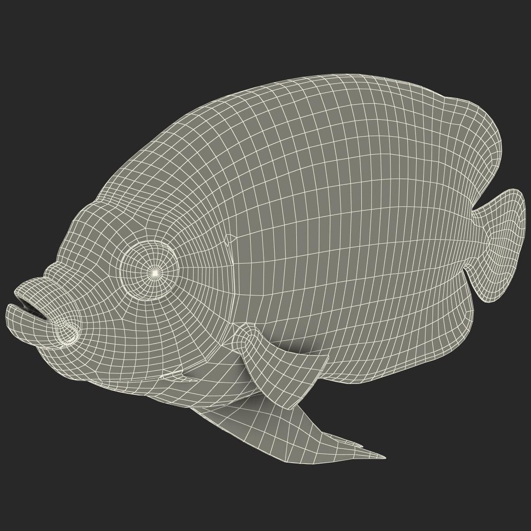Tropical Fish Obj