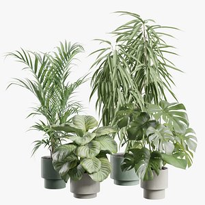 Indoor Plants Pack 105 3D