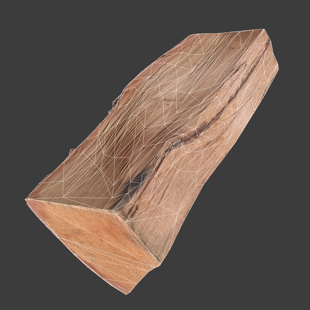 Firewood Log Scan 3d Model