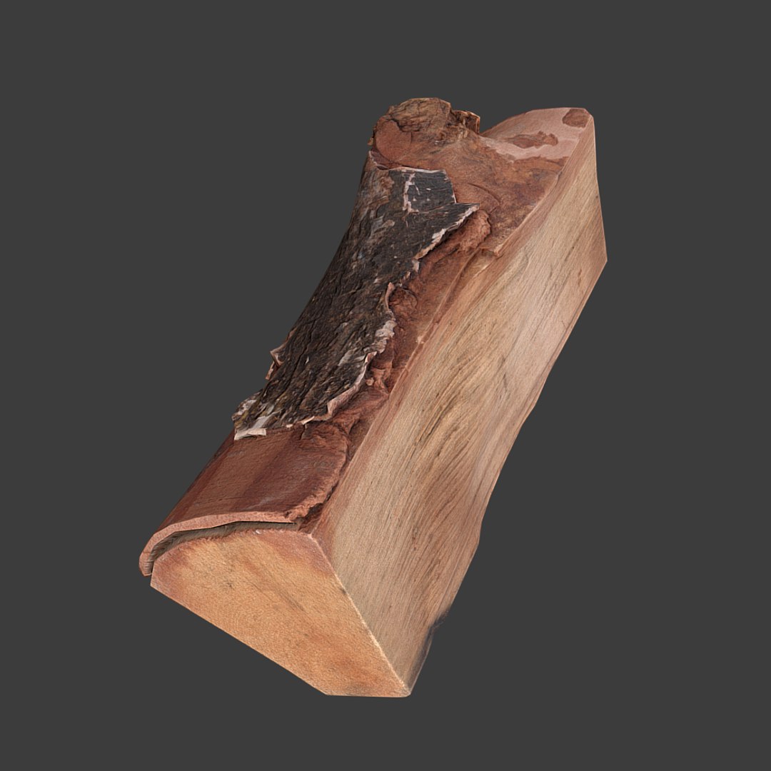 Firewood Log Scan 3d Model