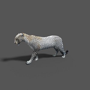 leopard 3d blend