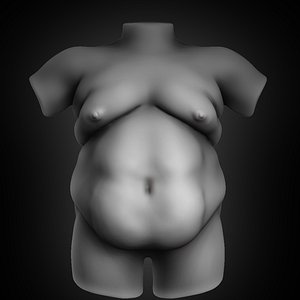 3D model fat torso