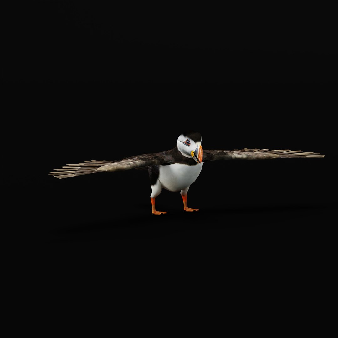 3D Atlantic Puffin Seabird https://p.turbosquid.com/ts-thumb/Xp/M5xYDm/3W/armature/jpg/1746375001/1920x1080/fit_q87/2a199ec314fc1ca6f6ce89eda74ade89ceefc870/armature.jpg