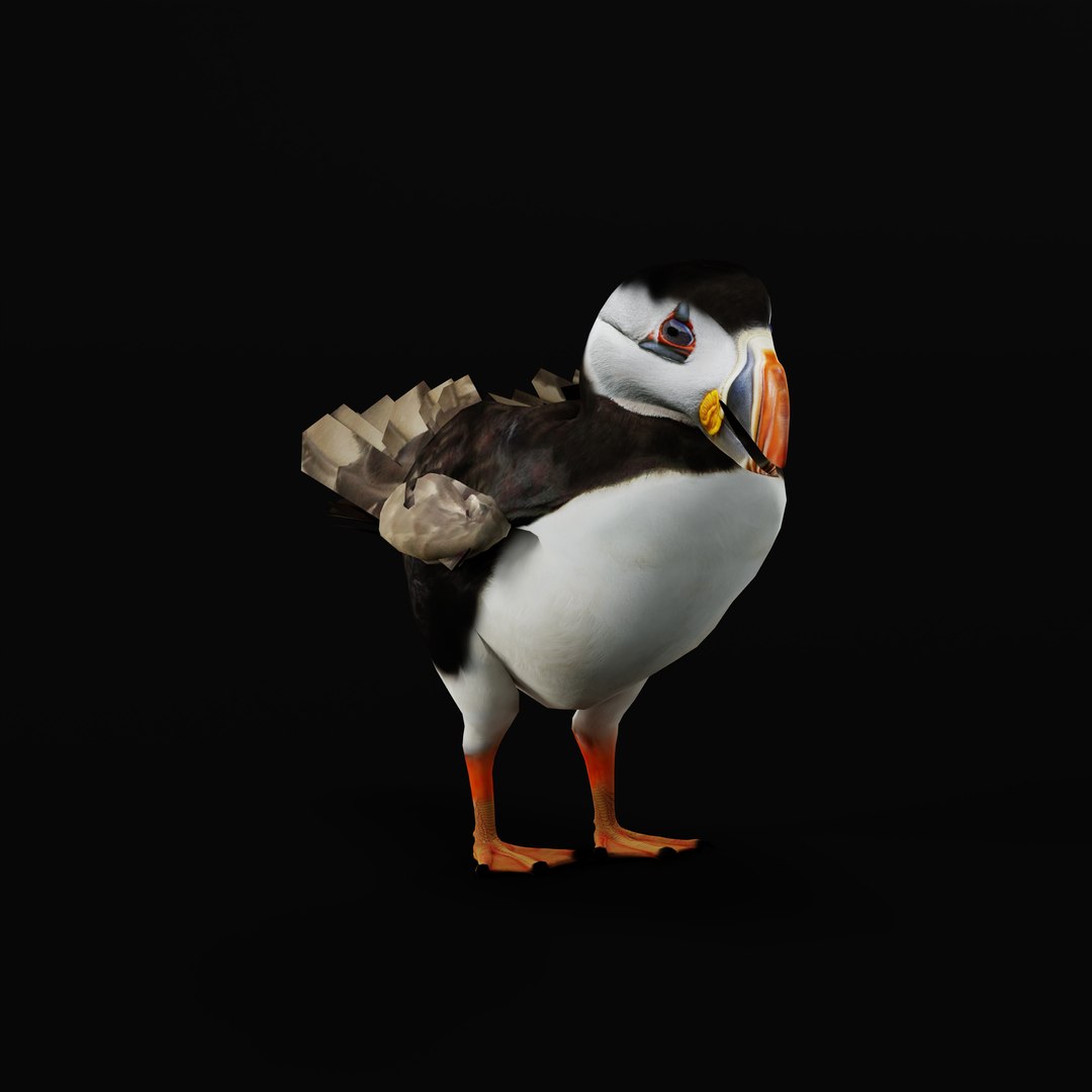 3D Atlantic Puffin Seabird https://p.turbosquid.com/ts-thumb/Xp/M5xYDm/4L/armature_0004/jpg/1746375004/1920x1080/fit_q87/49a1ba44341f1b0f2db65e6e2e39fa2003df3b70/armature_0004.jpg