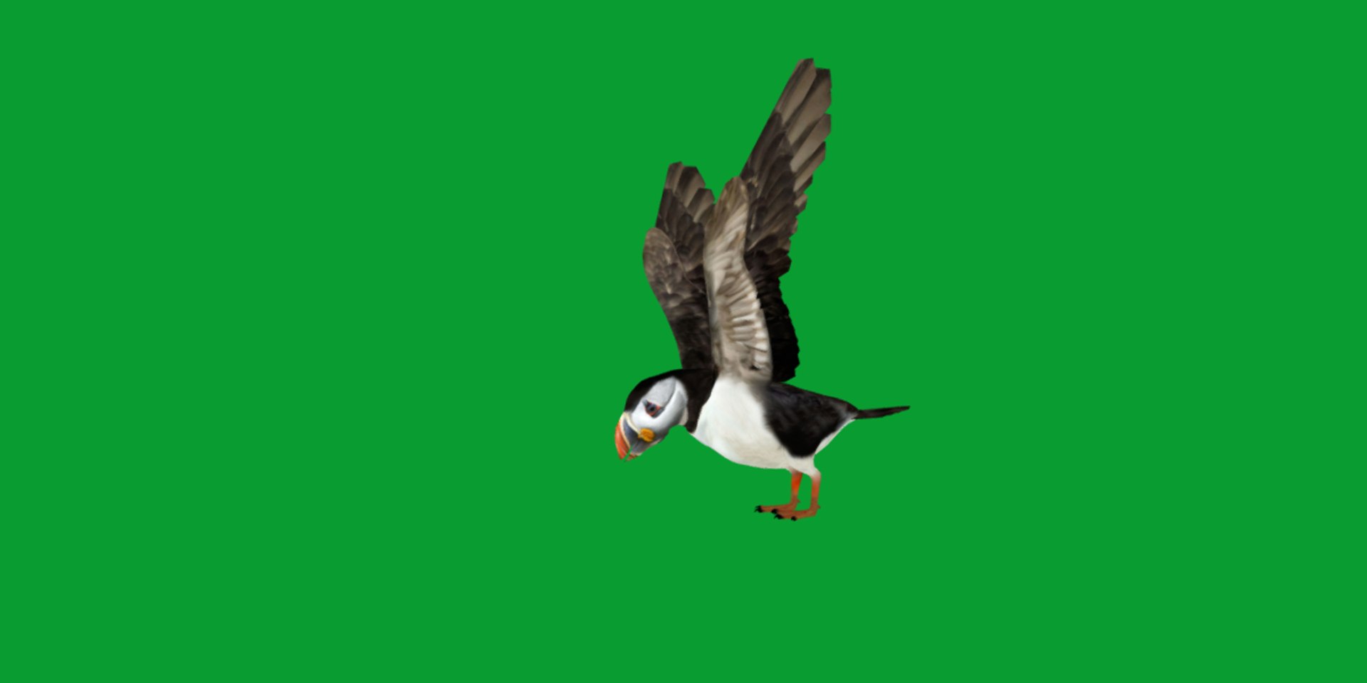 3D Atlantic Puffin Seabird https://p.turbosquid.com/ts-thumb/Xp/M5xYDm/4T/puffin_seabird2/png/1746374985/1920x1080/fit_q87/ee916b149f9d322a46aee3792bd5651a1320c156/puffin_seabird2.jpg