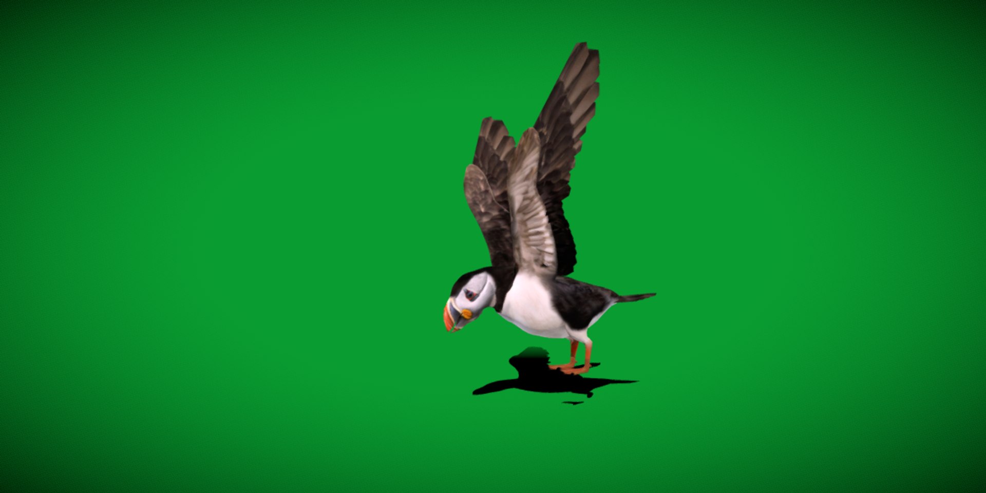 3D Atlantic Puffin Seabird https://p.turbosquid.com/ts-thumb/Xp/M5xYDm/4Y/puffin_seabird1/png/1746374984/1920x1080/fit_q87/b36051ed3e2aaa8eb8832376a95db4120cbfd7a2/puffin_seabird1.jpg