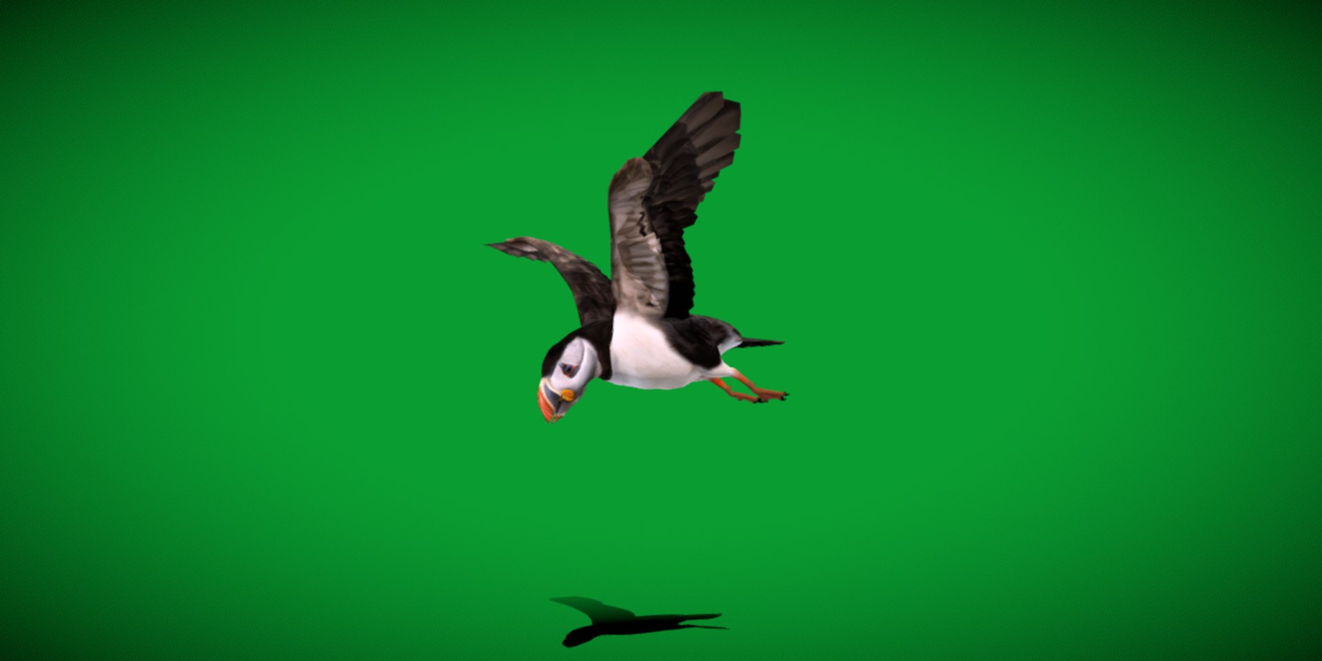 3D Atlantic Puffin Seabird https://p.turbosquid.com/ts-thumb/Xp/M5xYDm/66/puffin_seabird9/png/1746374989/1920x1080/fit_q87/84bae84f6b1a7b5178b91b3ff6a1ca55e3de0575/puffin_seabird9.jpg