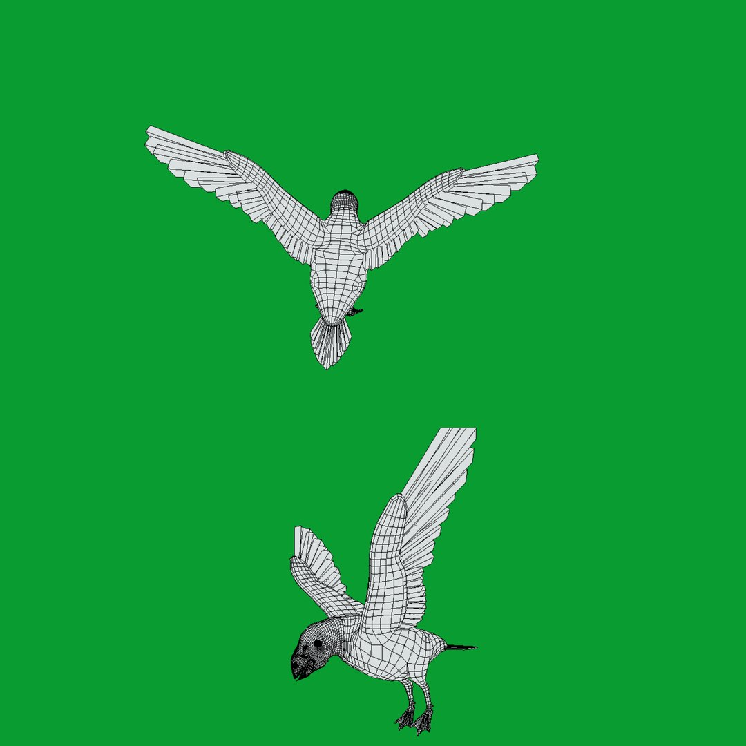 3D Atlantic Puffin Seabird https://p.turbosquid.com/ts-thumb/Xp/M5xYDm/AS/wire/png/1746375029/1920x1080/fit_q87/872bb5b36412dad26833612220ddee03f4bd7744/wire.jpg