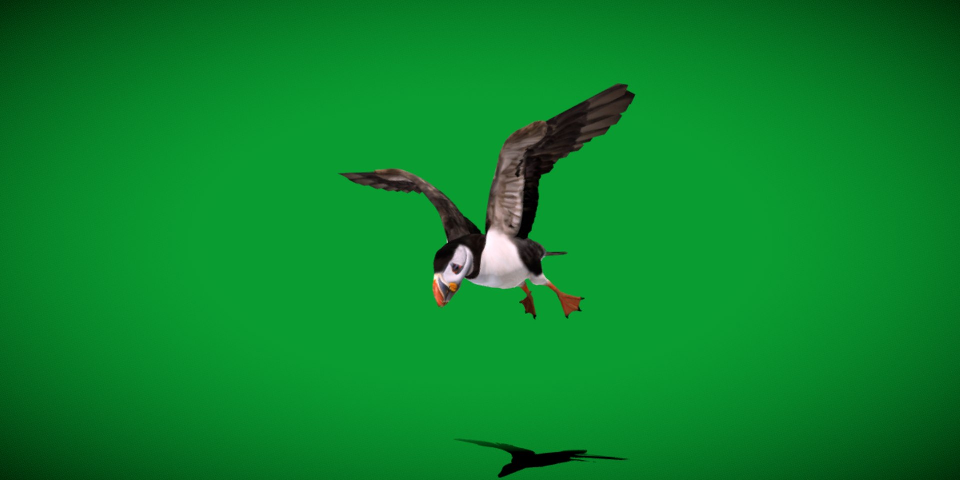 3D Atlantic Puffin Seabird https://p.turbosquid.com/ts-thumb/Xp/M5xYDm/BT/puffin_seabird10/png/1746374990/1920x1080/fit_q87/15860c926a136384fd97d886b5034788ea3b624f/puffin_seabird10.jpg