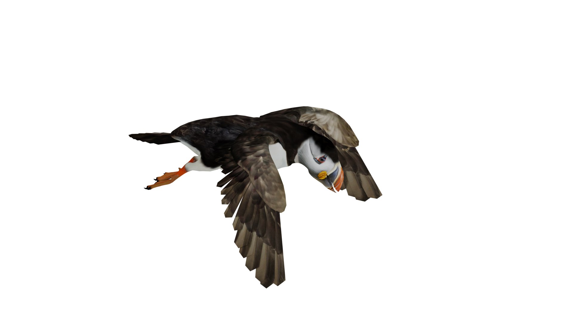 3D Atlantic Puffin Seabird https://p.turbosquid.com/ts-thumb/Xp/M5xYDm/CA/puffin_seabird_preview1/png/1746374975/1920x1080/fit_q87/8d423cd39019e8b3982c4dcabae5ad9269d83498/puffin_seabird_preview1.jpg