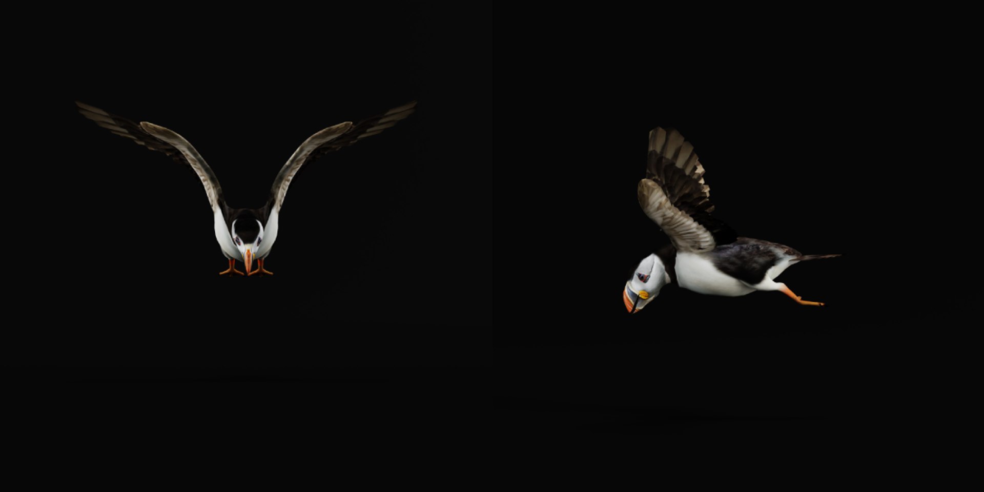 3D Atlantic Puffin Seabird https://p.turbosquid.com/ts-thumb/Xp/M5xYDm/Hs/puffin_seabird7/png/1746374988/1920x1080/fit_q87/76ddc5fd161b3202054c808a9194b2d9fb91e831/puffin_seabird7.jpg