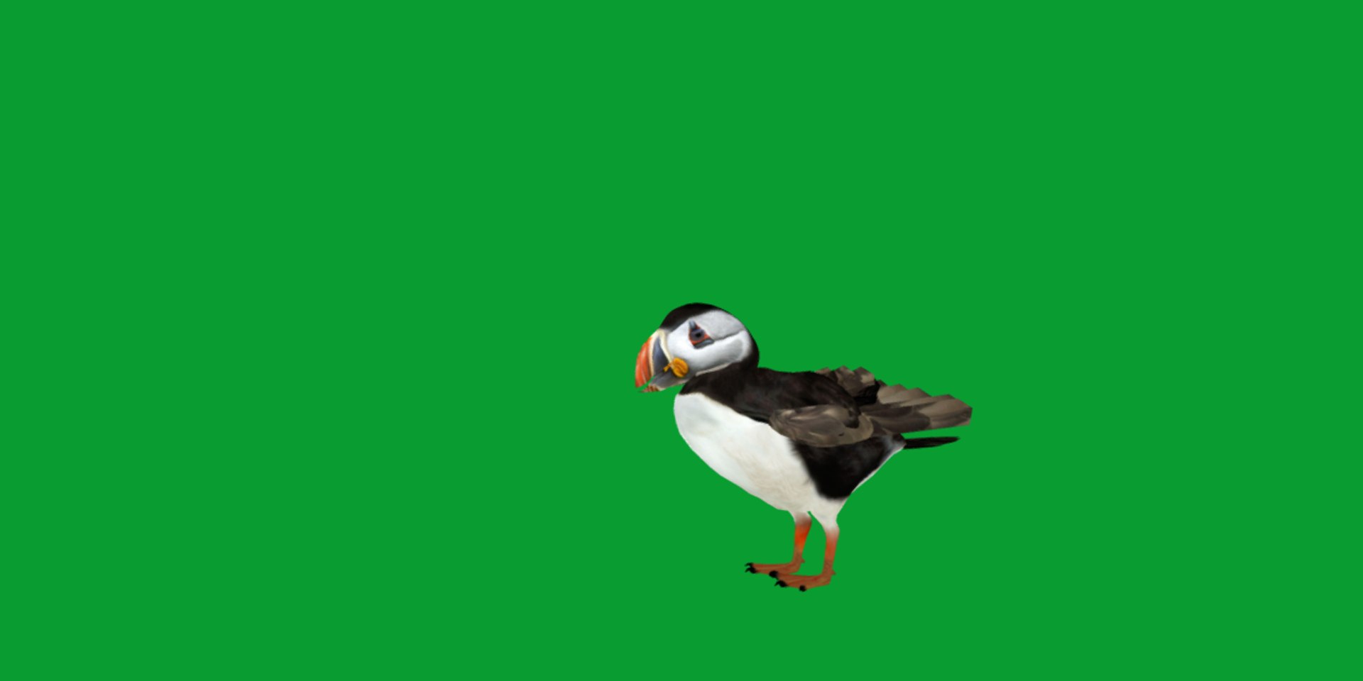 3D Atlantic Puffin Seabird https://p.turbosquid.com/ts-thumb/Xp/M5xYDm/PL/puffin_seabird27/png/1746374999/1920x1080/fit_q87/2401a58076a8d4be47072f1608af6832ae706d7b/puffin_seabird27.jpg