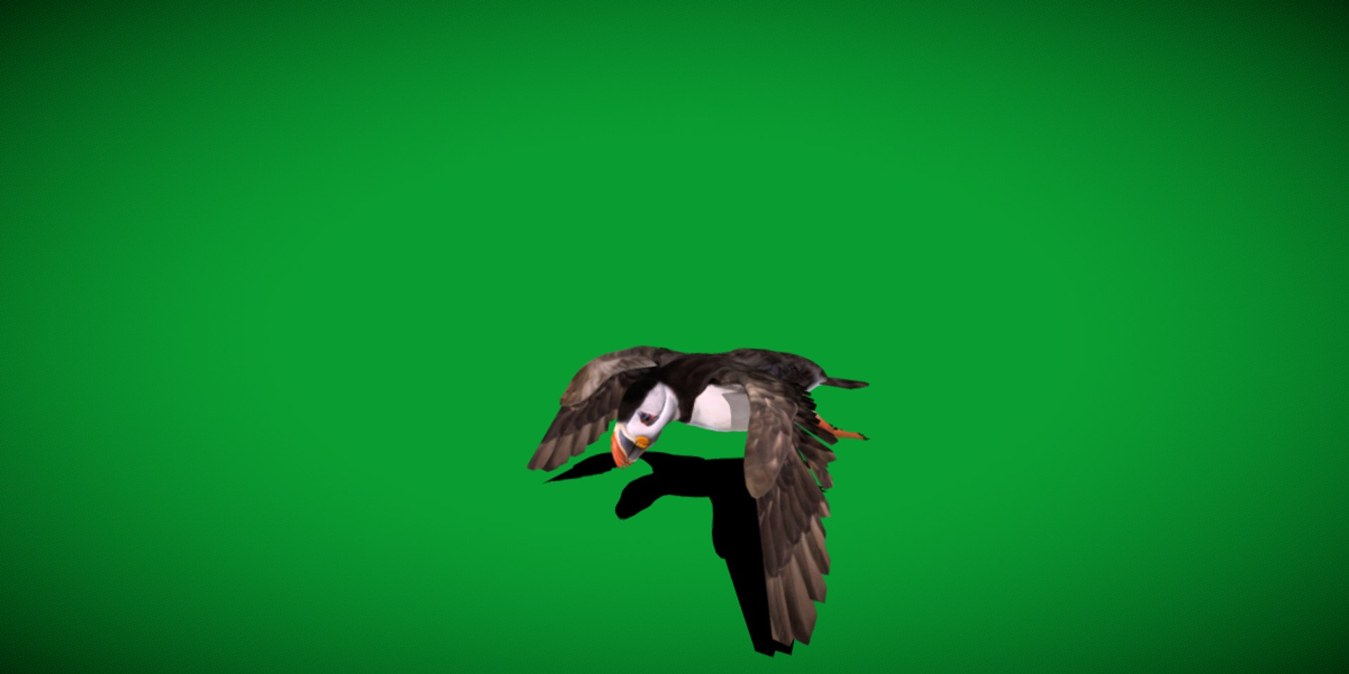 3D Atlantic Puffin Seabird https://p.turbosquid.com/ts-thumb/Xp/M5xYDm/Rf/puffin_seabird8/png/1746374988/1920x1080/fit_q87/9848169fb3ec60d60349e9aaf08022ee9f4bb7cc/puffin_seabird8.jpg
