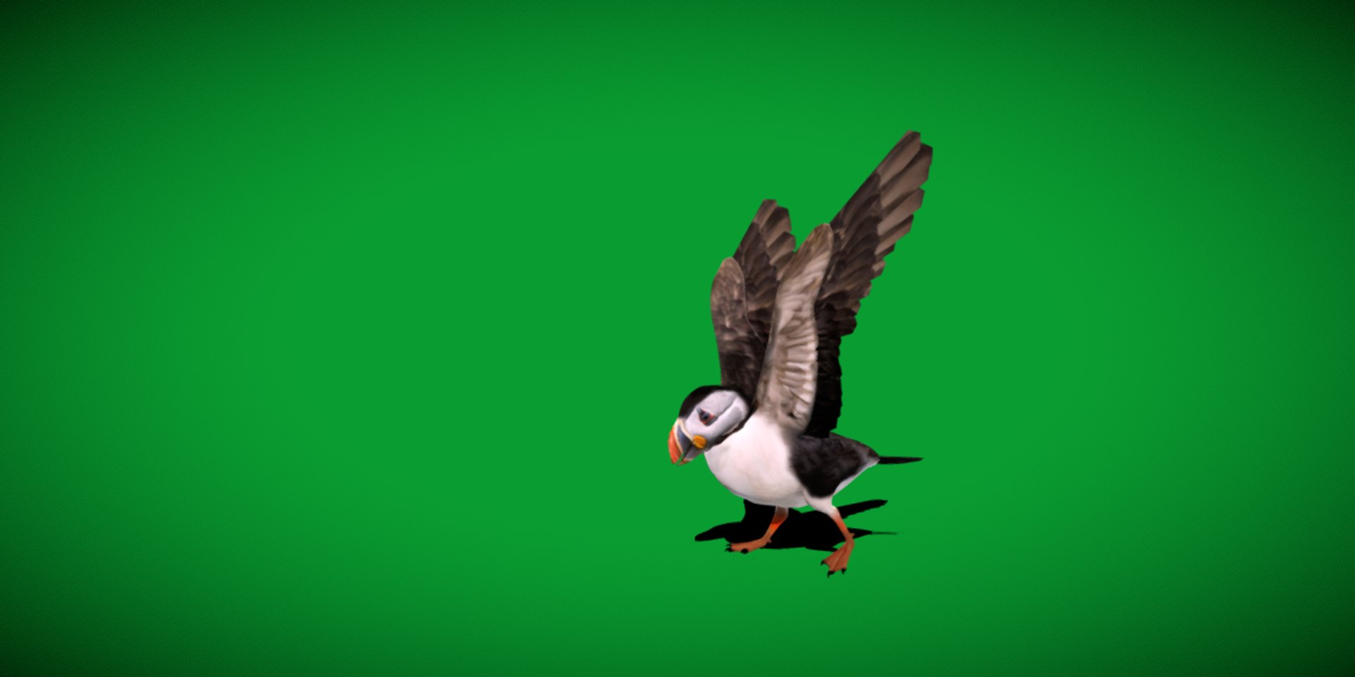 3D Atlantic Puffin Seabird https://p.turbosquid.com/ts-thumb/Xp/M5xYDm/WM/puffin_seabird/png/1746374999/1920x1080/fit_q87/8c3c89bccc1d1a565d115d4d163e123447e32465/puffin_seabird.jpg