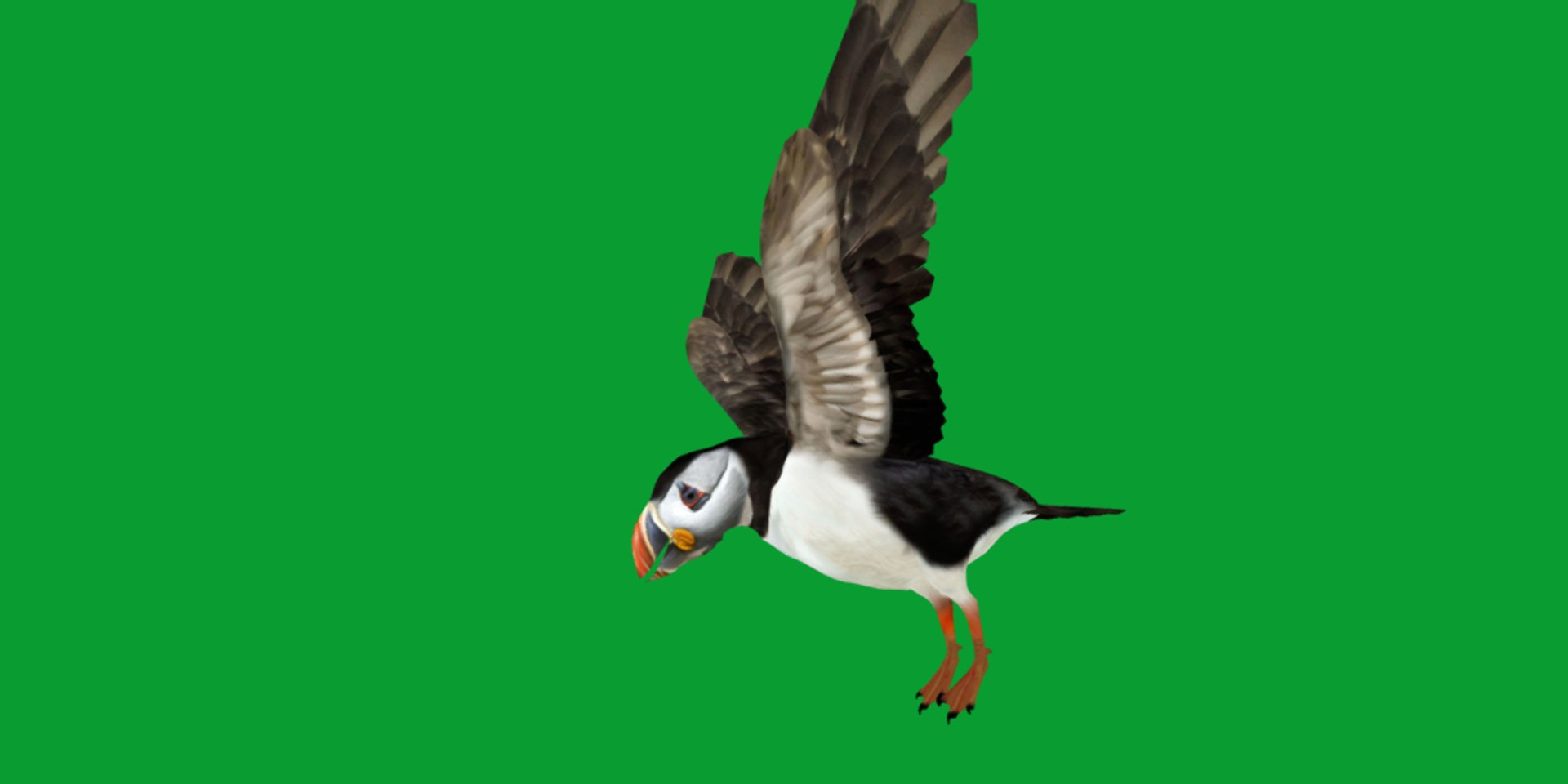 3D Atlantic Puffin Seabird https://p.turbosquid.com/ts-thumb/Xp/M5xYDm/Zu/puffin_seabird26/png/1746374998/1920x1080/fit_q87/30834f5052291f1bd3c78e0dccc224a14ab5b584/puffin_seabird26.jpg