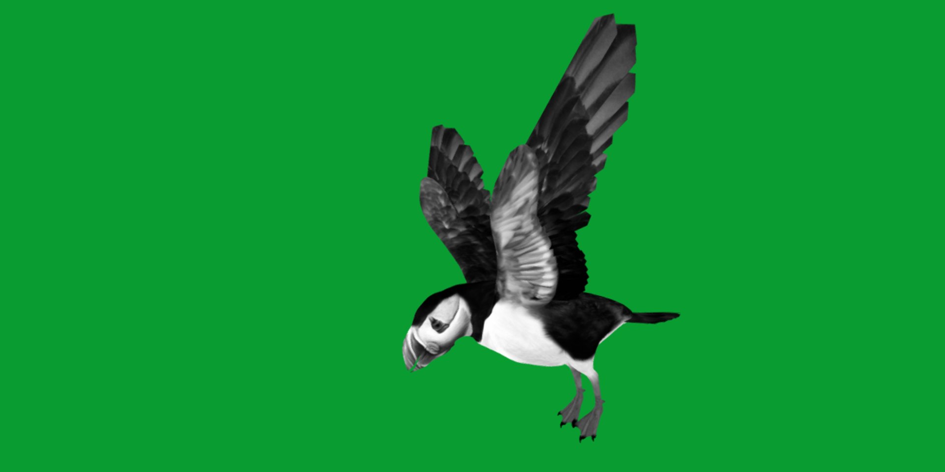3D Atlantic Puffin Seabird https://p.turbosquid.com/ts-thumb/Xp/M5xYDm/g8/puffin_seabird15/png/1746374992/1920x1080/fit_q87/9073f4f4f962df5ee35b37013d1e64cf7aefa549/puffin_seabird15.jpg